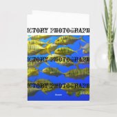 De Kaart van de windhond (Achterkant)