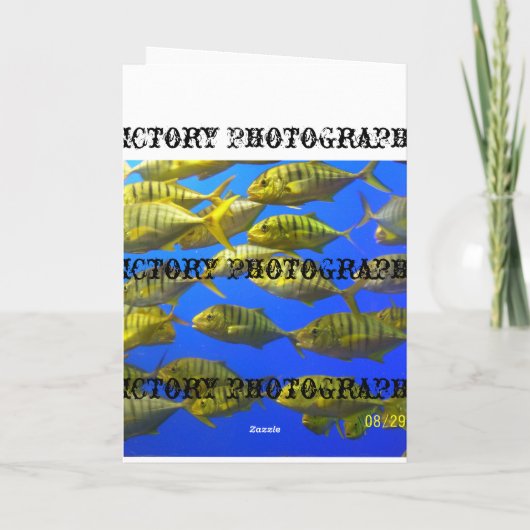 De Kaart van de windhond (Achterkant)