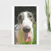 De Kaart van de windhond (Voorkant)