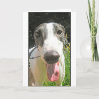 De Kaart van de windhond