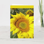De kaart van de zonnebloem (Achterkant)