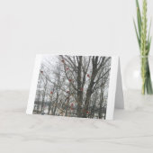 De Kaart van de zonnestilstand (Voorkant)