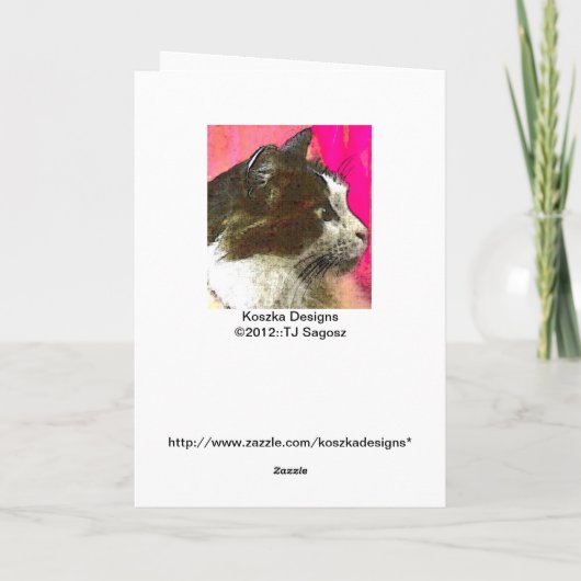 De Kaart van de zonnestilstand (Achterkant)