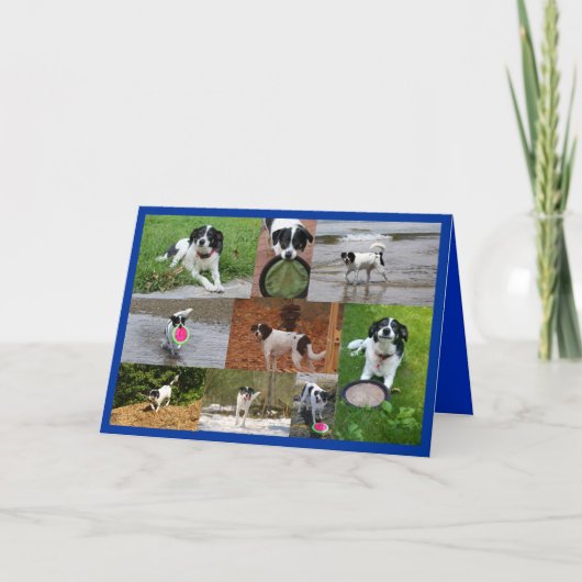 De kaart van Emily (Voorkant)