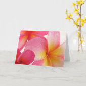 De Kaart van Frangipani (Gele Bloem)