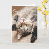 De Kaart van gelukwensen met het Gelukkige Katje (Gele Bloem)