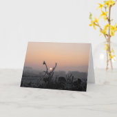 De Kaart van groeten/Berijpt Gebied dichtbij (Gele Bloem)