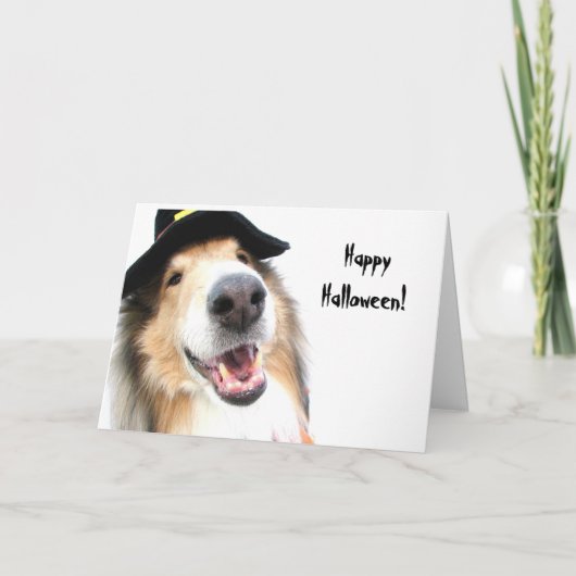 De Kaart van Halloween van de Heks van de collie (Voorkant)