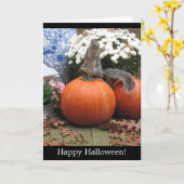 De Kaart van Halloween van Squirrely (Gele Bloem)