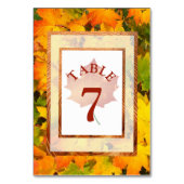 De Kaart van het Aantal van de Brondenweddenschapp (Achterkant)