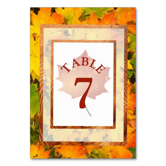 De Kaart van het Aantal van de Brondenweddenschapp (Voorkant)