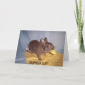 De Kaart van het BABY (Achterkant)