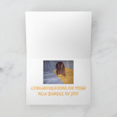 De Kaart van het BABY (Binnen)