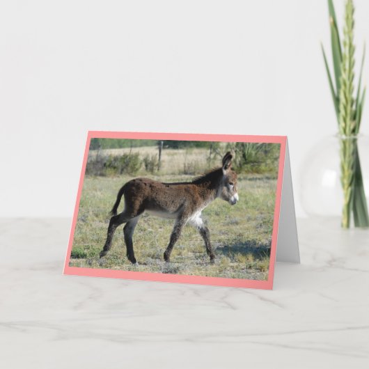 "De Kaart van het Baby Burrito " (Voorkant)