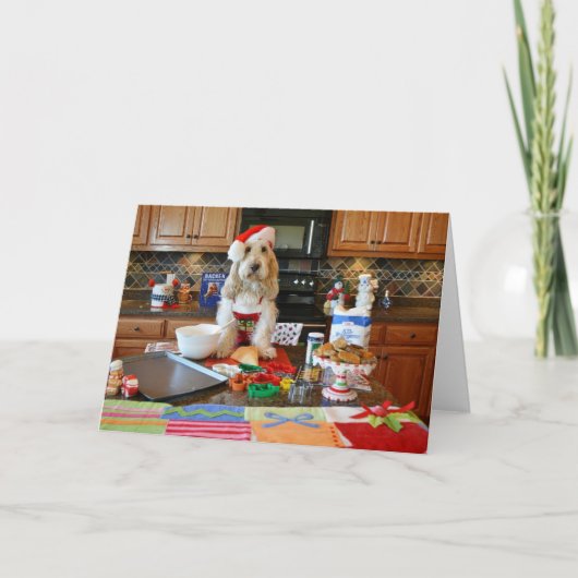 De Kaart van het Baksel van de vakantie (Voorkant)