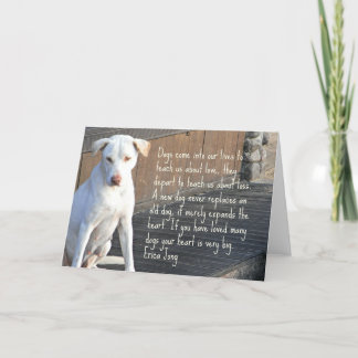 De Kaart van het Citaat van de hond