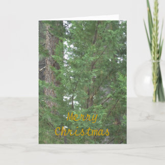 De Kaart van het Collectie van Kerstmis van Tahoe