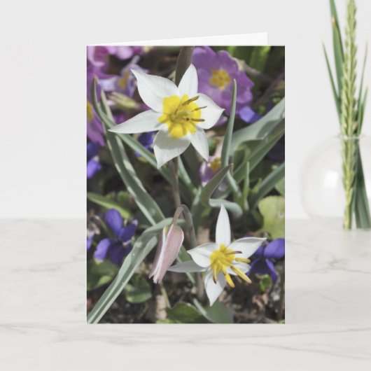 De kaart van het de tulpenMoederdag van species (Voorkant)