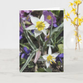 De kaart van het de tulpenMoederdag van species (Gele Bloem)