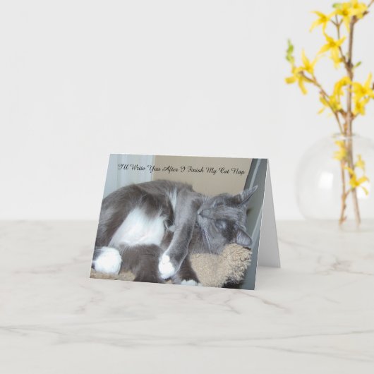 De Kaart van het Dutje van de kat (Gele Bloem)