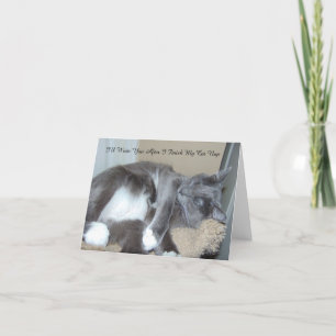 De Kaart van het Dutje van de kat