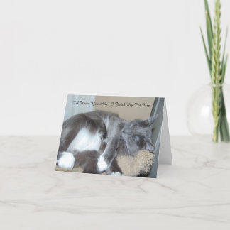 De Kaart van het Dutje van de kat