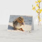 De Kaart van het Eendje van de Eend van het baby (Gele Bloem)