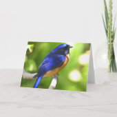 De Kaart van het Geluk van sialia (Voorkant)