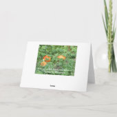 De Kaart van het gezegde van het Hallo van (Achterkant)