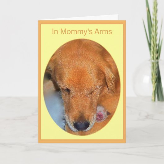 De Kaart van het Golden retriever van het (Voorkant)