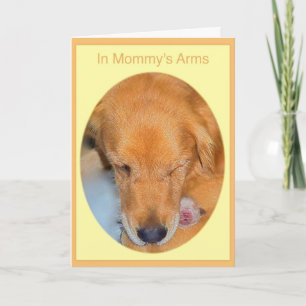 De Kaart van het Golden retriever van het