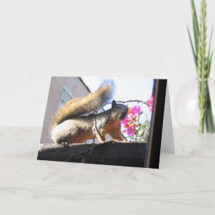 De Kaart van het Inwijdingsfeest van de Wereld van