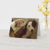 De kaart van het Jubileum, 2 honden geknuffel (Gele Bloem)