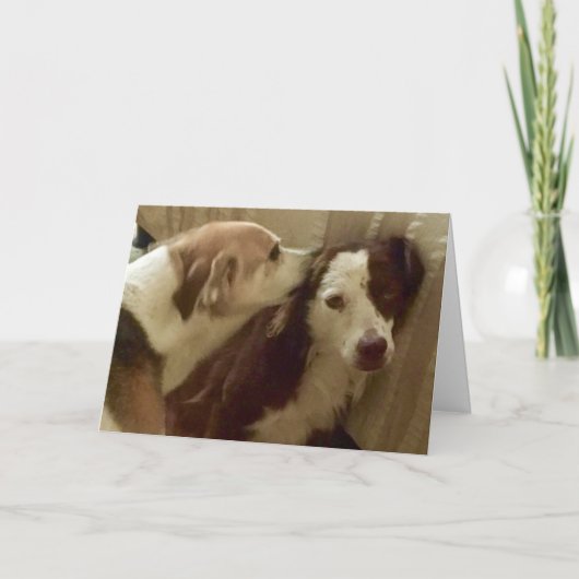 De kaart van het Jubileum, 2 honden geknuffel (Voorkant)