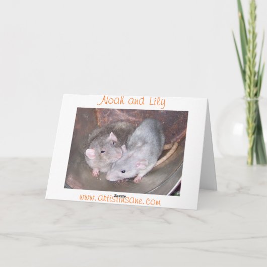 De Kaart van het Jubileum van de Rat van het (Achterkant)