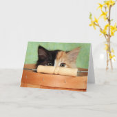 De Kaart van het Katje van het Calico van de (Gele Bloem)