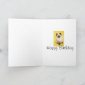 De kaart van het katjesgroeten van Ragdoll (Binnen)