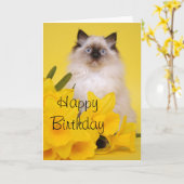 De kaart van het katjesgroeten van Ragdoll (Gele Bloem)