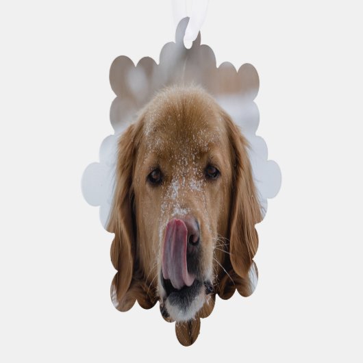 De Kaart van het Kerstmisornament van uw Hond (Rechts)