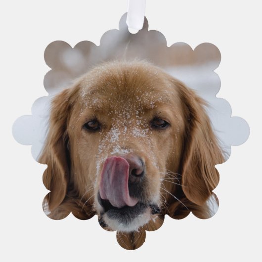 De Kaart van het Kerstmisornament van uw Hond (Voorkant)