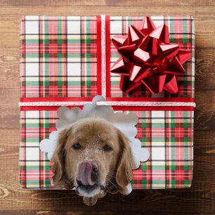 De Kaart van het Kerstmisornament van uw Hond