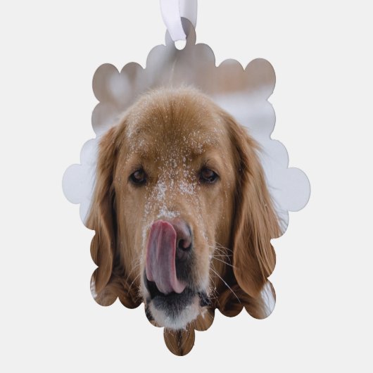 De Kaart van het Kerstmisornament van uw Hond (Links)