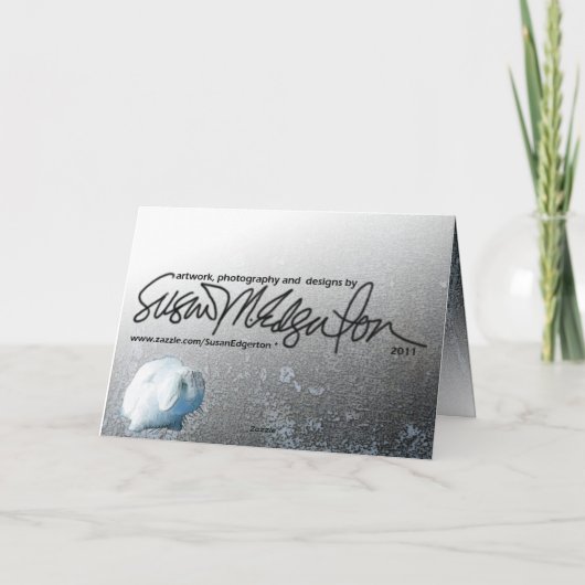 De Kaart van het konijntje en van het Kat (Achterkant)