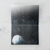 De Kaart van het konijntje en van het Kat (Binnen)