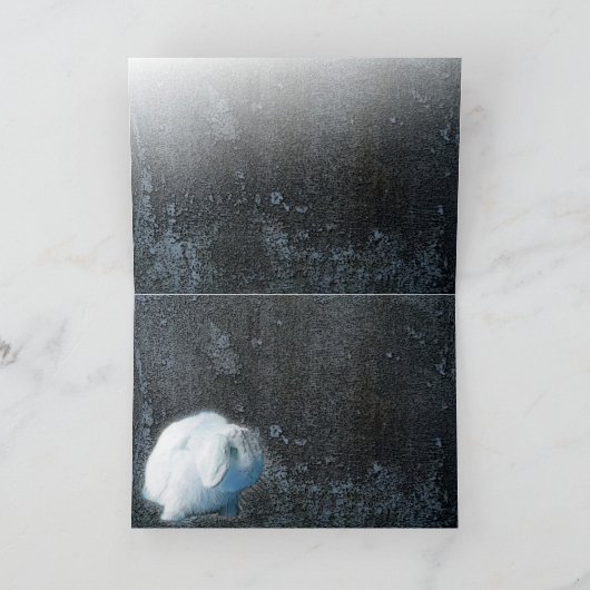 De Kaart van het konijntje en van het Kat (Binnen)