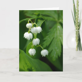 De Kaart van het lelietje-van-dalen