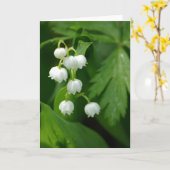 De Kaart van het lelietje-van-dalen (Gele Bloem)