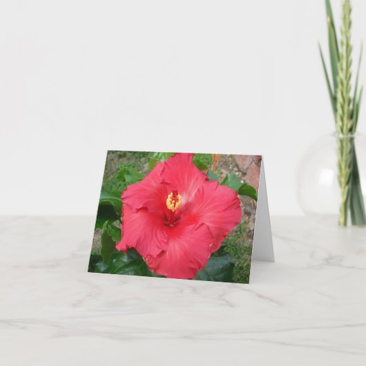 De Kaart van het moederdag (Voorkant)