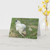 De kaart van het moederdag in Tsjech (Gele Bloem)