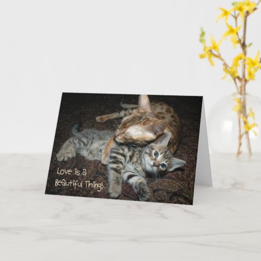 De Kaart van het moederdag met kat (Gele Bloem)